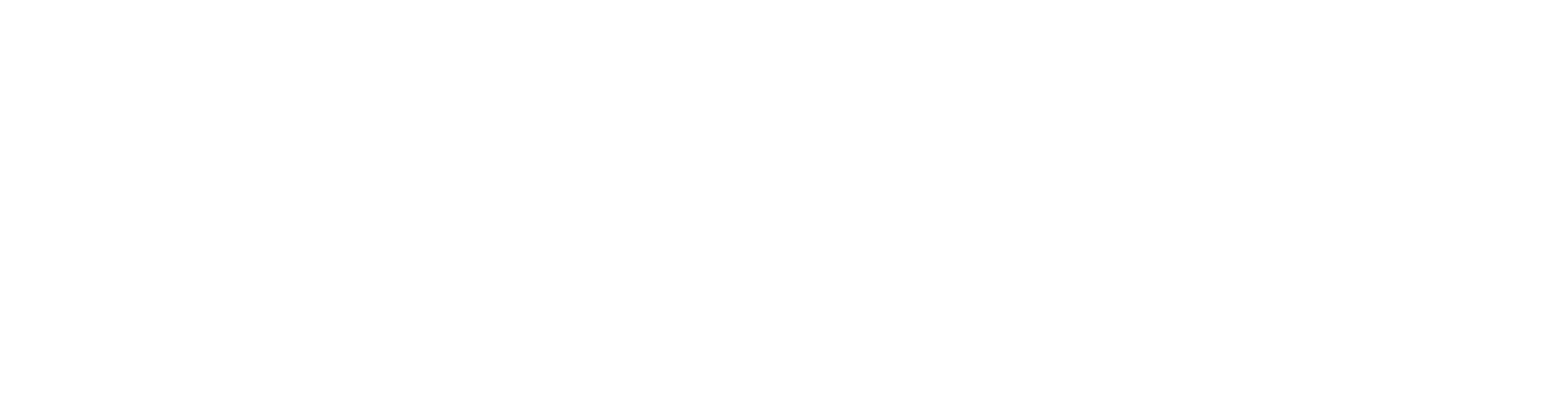 Selvix