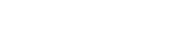 Selvix